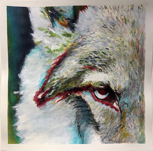 "Wolf's Gaze"